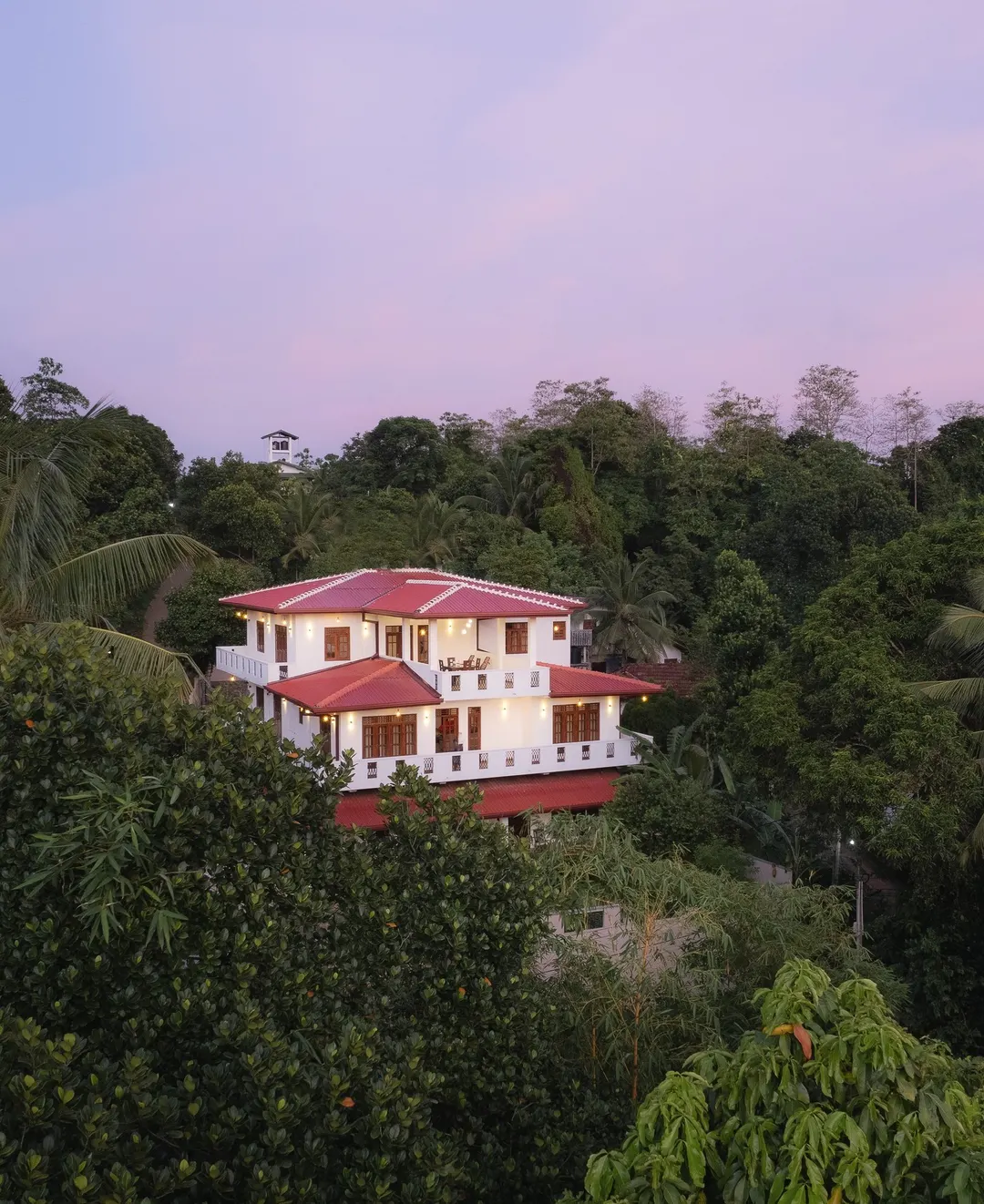 The villa among the trees at first light, seen from the air