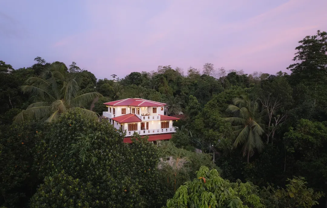 The villa among tall trees at first light, seen from the air
