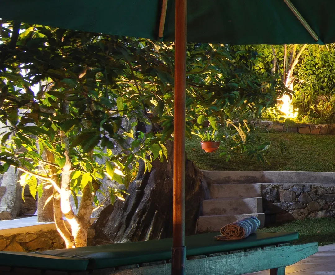 A frangipani tree lit from below, an umbrella beside it