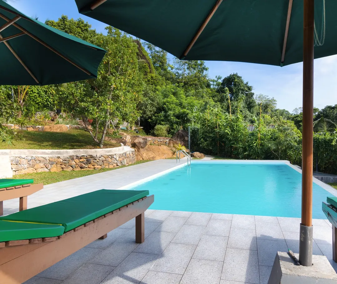 The pool and garden on a sunny day