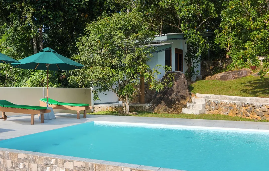 The pool by day, with loungers under green umbrellas and the garden around it