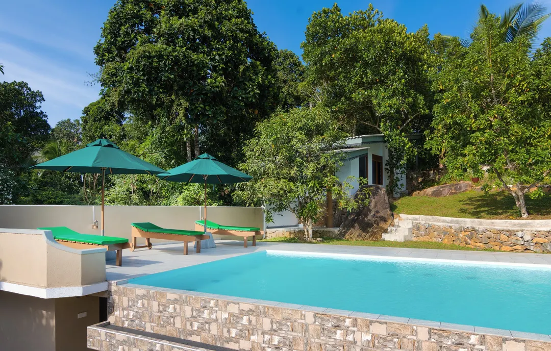 The pool in the morning sun, with umbrellas and the garden behind