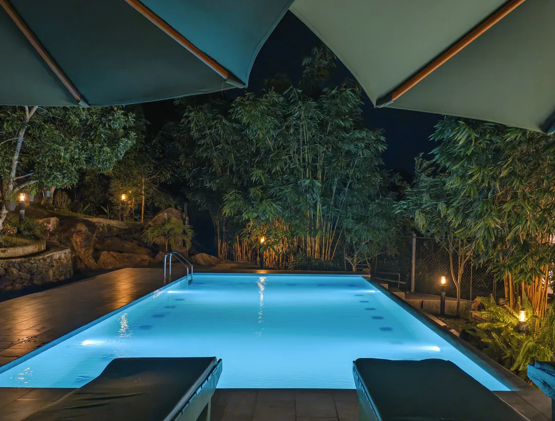 The pool at night under the umbrellas, trees lit behind it