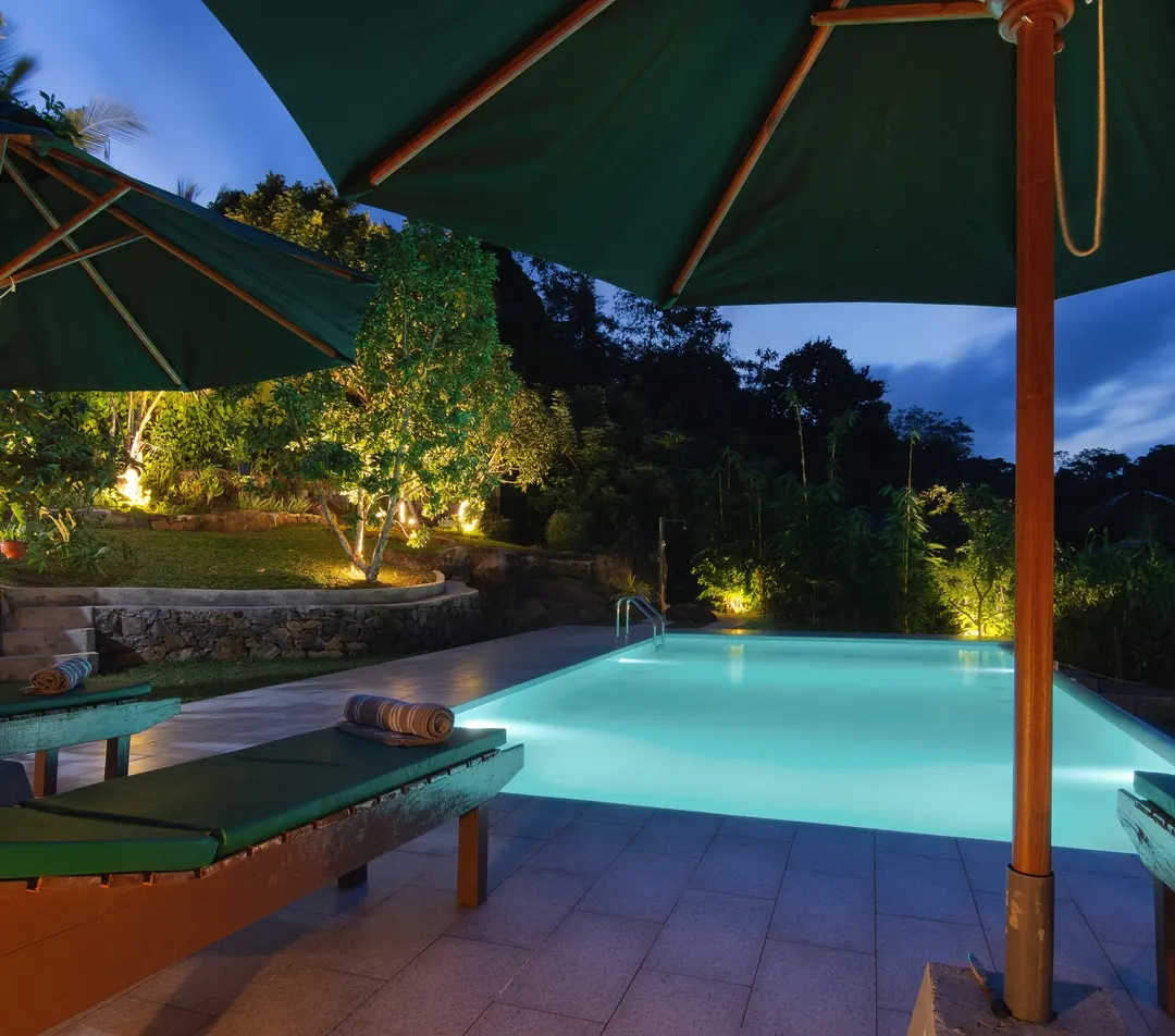 The pool at dusk, seen through the garden