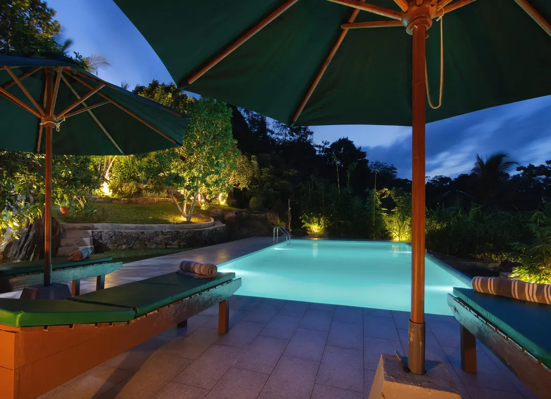 The pool at dusk, seen through the garden
