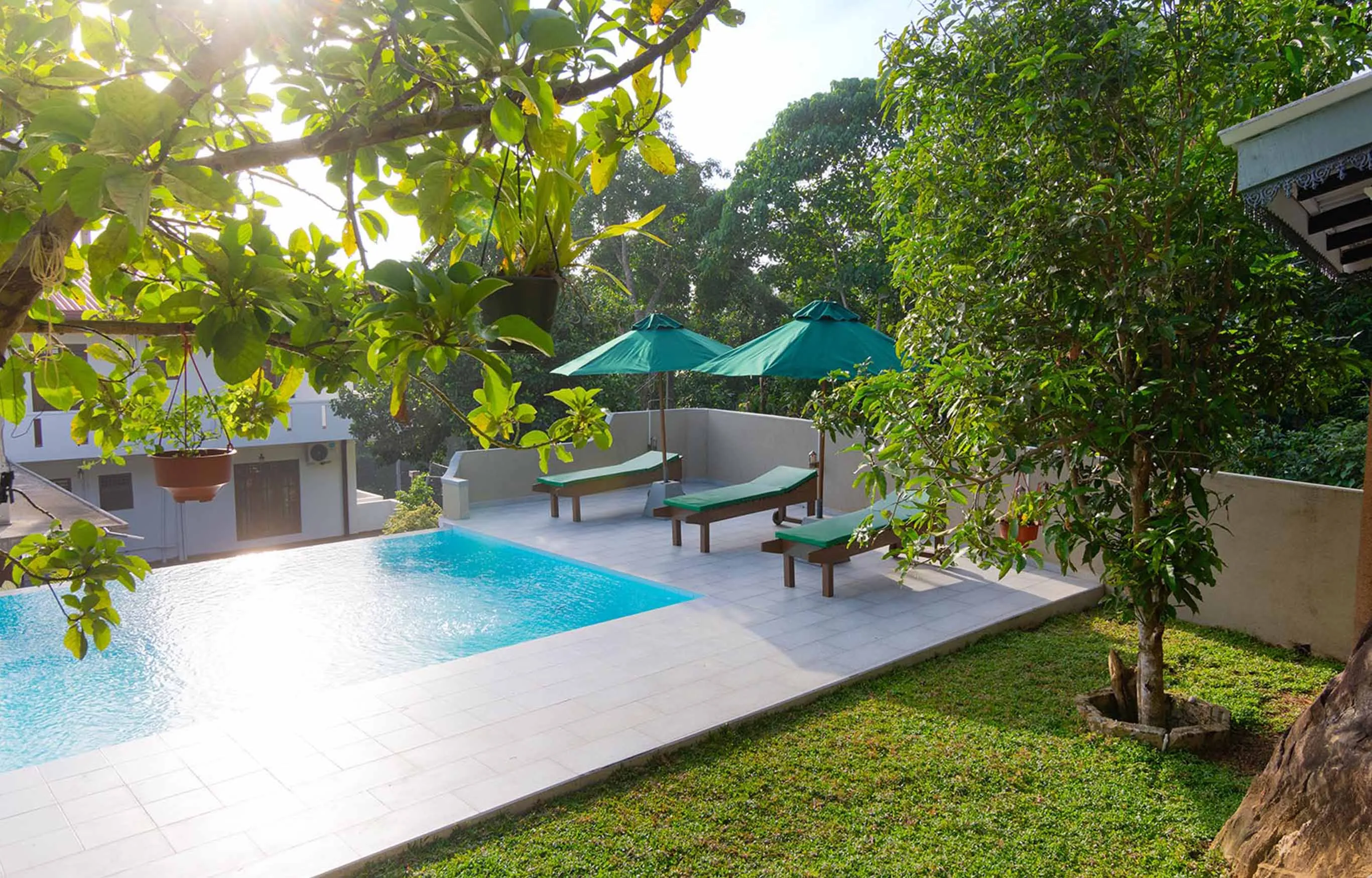 Sunny morning at a luxurious villa in Hikkaduwa, Sri Lanka. Enjoy a refreshing dip in the pool surrounded by lush greenery and tropical foliage